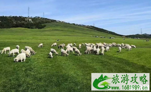 国内景点推荐 国内哪些旅游胜地