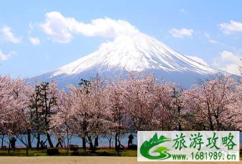 度蜜月城市推荐 哪些地方适合蜜月旅行呢