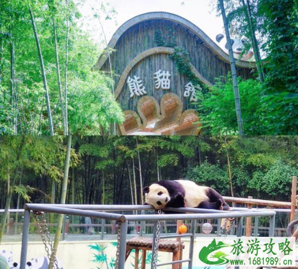 溧阳旅游景点推荐 南山竹海+网红小火车+山野温泉攻略 溧阳旅游景点推荐 南山竹海+网红小火车+山野温泉攻略