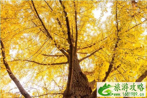 汉十高铁票价+路线+旅游优惠政策