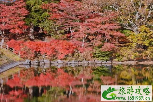 日本南伊奈湖红叶攻略 日本南伊奈湖介绍 日本南伊奈湖红叶攻略 日本南伊奈湖介绍