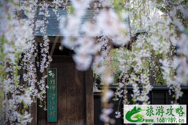 日本秋田县旅游最佳景点