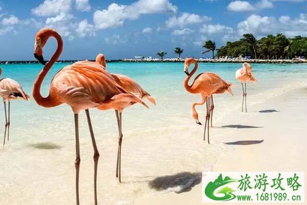 国外网红景点推荐 国外有哪些网红景点打卡地 国外网红景点推荐 国外有哪些网红景点打卡地