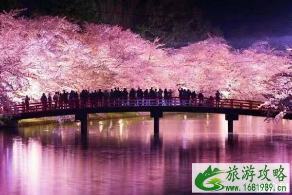 日本哪些地方可以看樱花 日本樱花地推荐