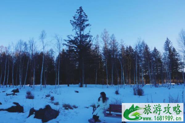 2020深圳去东北旅游攻略和安排 2020深圳去东北旅游攻略和安排
