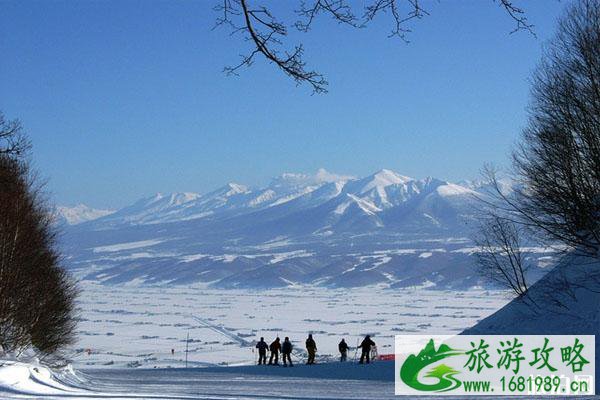 富良野滑雪场游玩攻略(门票+价格+地址) 富良野滑雪场游玩攻略(门票+价格+地址)