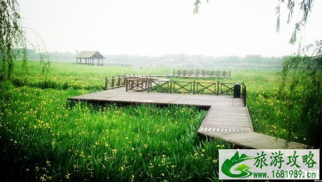 大运河森林公园的地点和特点 大运河森林公园的地点和特点