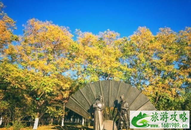 大运河森林公园的地点和特点 大运河森林公园的地点和特点