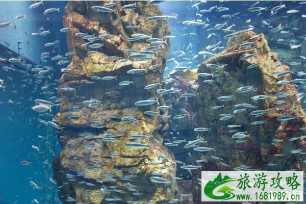 2020春节大阪有哪里能玩 2020春节大阪有哪里能玩