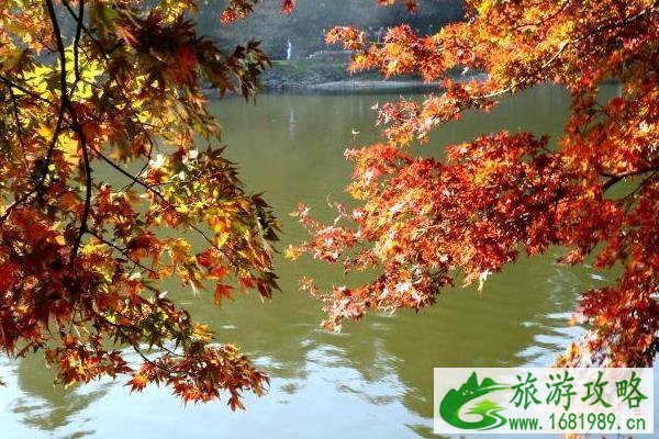 庐山秋季旅游攻略 庐山秋天旅游最佳时间 庐山秋季旅游攻略 庐山秋天旅游最佳时间