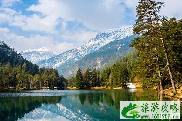 新天鹅堡拍照最佳位置 新天鹅堡附近的景点推荐 新天鹅堡拍照最佳位置 新天鹅堡附近的景点推荐