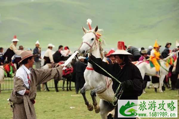 藏北那曲有哪些景点 藏北那曲有哪些景点