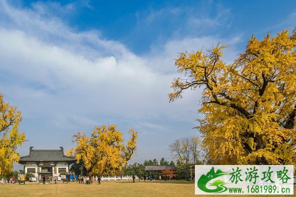 2022南京惠济寺1600年庆典时间+地点+活动安排 2022南京惠济寺1600年庆典报名入口