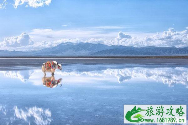 茶卡盐湖旅游攻略 打卡景点 旅游注意事项 茶卡盐湖旅游攻略 打卡景点 旅游注意事项
