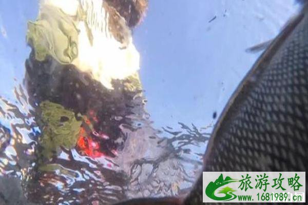 冬捕在哪有+介绍 冬捕在哪有+介绍