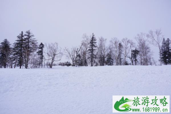 徒步穿越羊草山攻略 雪谷雪乡旅游攻略2020 徒步穿越羊草山攻略 雪谷雪乡旅游攻略2020