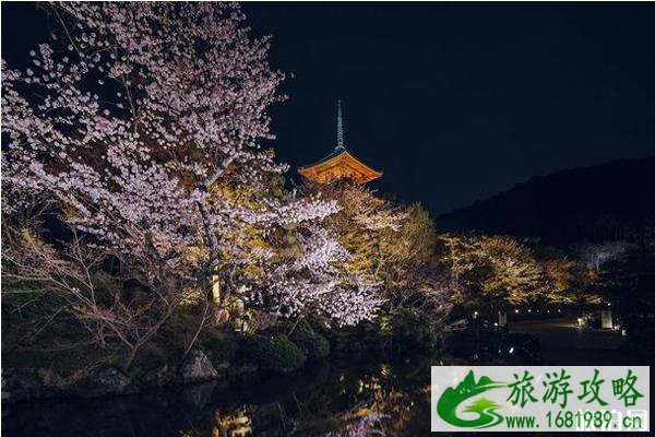 2022清水寺夜间开放时间+门票+交通 2022清水寺夜间参拜活动攻略