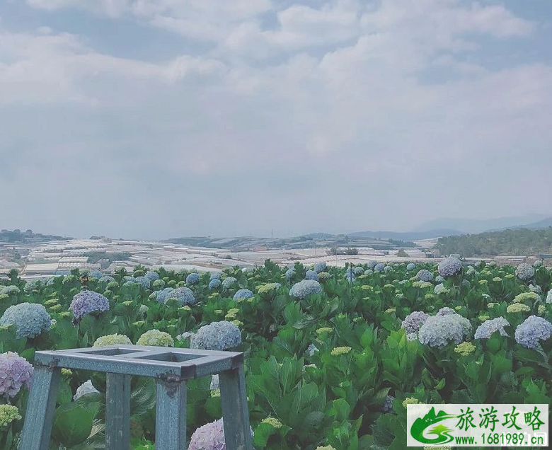 越南有哪些法式浪漫的建筑