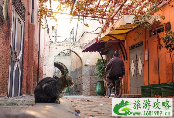 去摩洛哥旅游有哪些必去景点