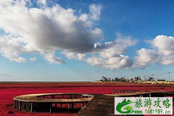 红海滩风景区营业时间 景区特点 红海滩风景区营业时间 景区特点
