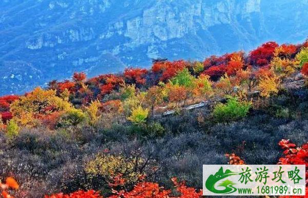 坡峰岭红叶最佳观赏期2022 坡峰岭红叶最佳观赏期2022