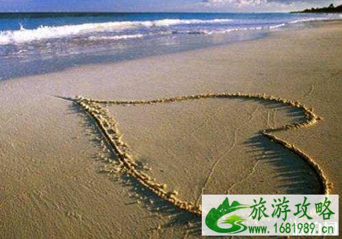 深圳哪些地方适合求婚