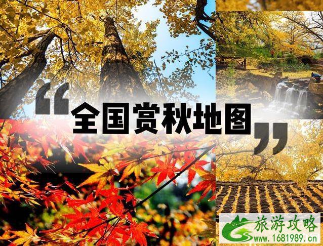 2022全国赏秋地图最新版 2022全国赏秋地图最新版