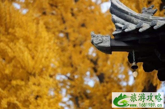 2022全国赏秋地图最新版 2022全国赏秋地图最新版