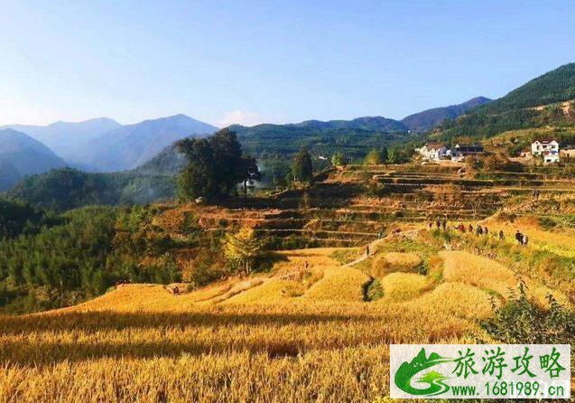2022全国赏秋地图最新版 2022全国赏秋地图最新版
