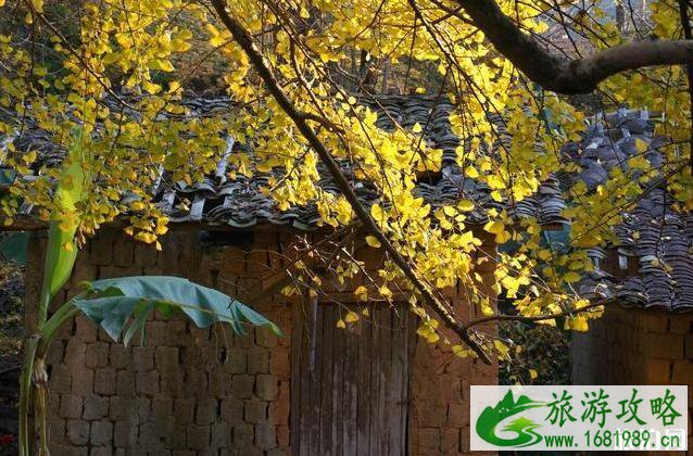 2022全国赏秋地图最新版 2022全国赏秋地图最新版