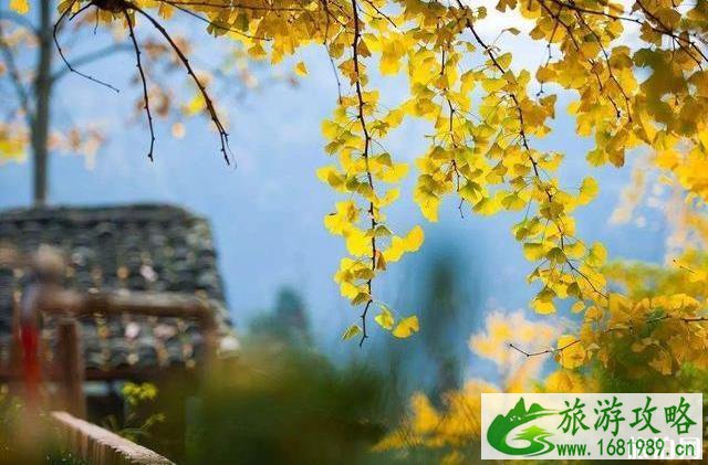 2022全国赏秋地图最新版 2022全国赏秋地图最新版