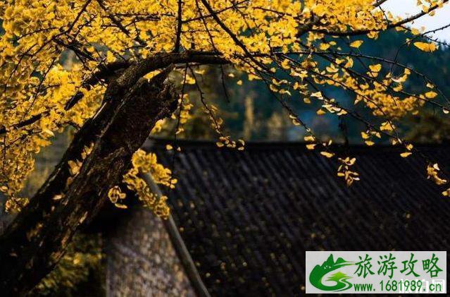2022全国赏秋地图最新版 2022全国赏秋地图最新版