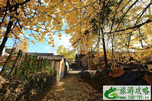 2022全国赏秋地图最新版 2022全国赏秋地图最新版