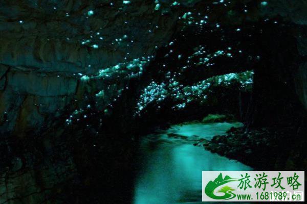新西兰萤火虫洞游玩攻略 新西兰萤火虫洞在哪里 新西兰萤火虫洞游玩攻略 新西兰萤火虫洞在哪里