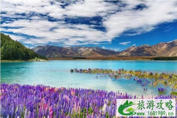 跨年去哪里旅游国外推荐 跨年去哪里旅游国外推荐