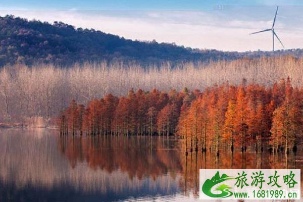南京赏秋的好地方有哪些 南京赏秋的好地方有哪些