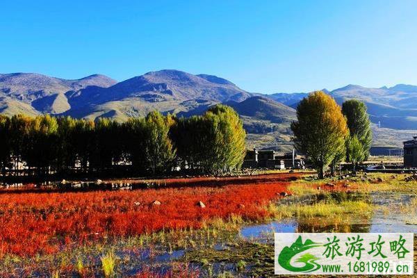桑堆红草滩最佳时间 桑堆红草滩海拔多少米 桑堆红草滩最佳时间 桑堆红草滩海拔多少米