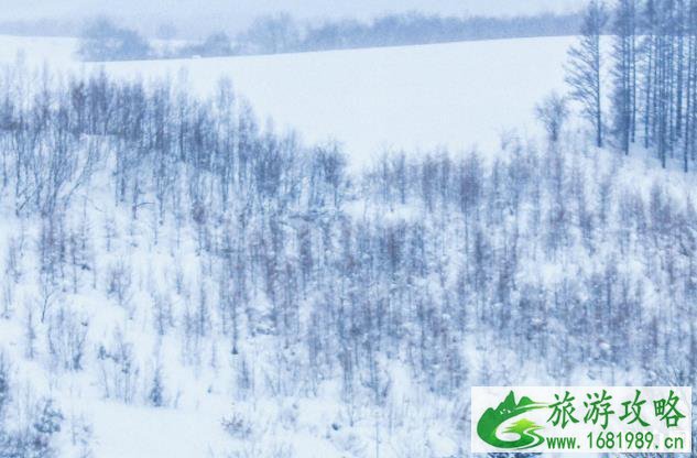 北海道美瑛游玩攻略 北海道美瑛拍照指南 北海道美瑛游玩攻略 北海道美瑛拍照指南