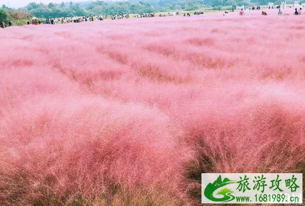 南京网红打卡地有哪些