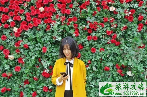 南京网红打卡地有哪些