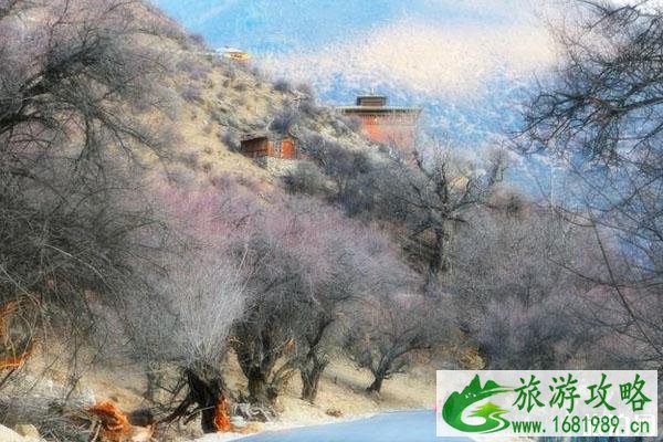 南迦巴瓦峰在哪里 南迦巴瓦峰风景介绍