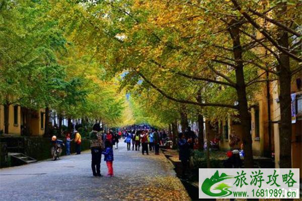 韶关帽子峰门票多少钱 帽子峰银杏什么时候黄 韶关帽子峰门票多少钱 帽子峰银杏什么时候黄