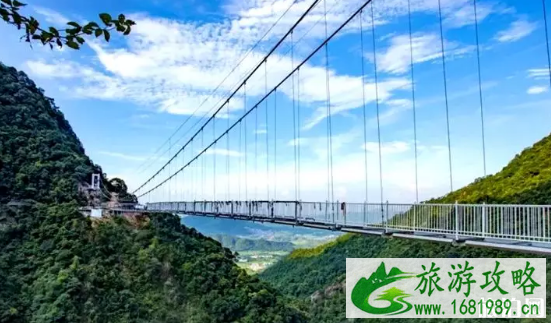 韶关南雄银杏树怎么样