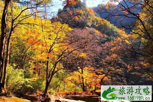 国内赏红叶最佳地点 时间 中国赏红叶有哪几个地方值得推荐 国内赏红叶最佳地点 时间 中国赏红叶有哪几个地方值得推荐
