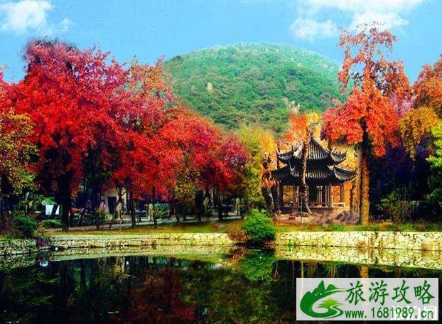 国内赏红叶最佳地点 时间 中国赏红叶有哪几个地方值得推荐 国内赏红叶最佳地点 时间 中国赏红叶有哪几个地方值得推荐