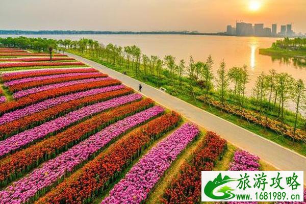 2022东海水晶节是哪一天+地点+活动 东海水晶节请来的明星有哪些