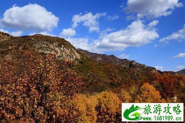 喇叭沟门景区摆渡车收费多少钱+登山会花费多少时间