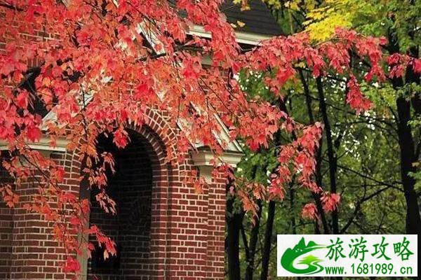 云鬓山枫叶什么时候红+旅游攻略