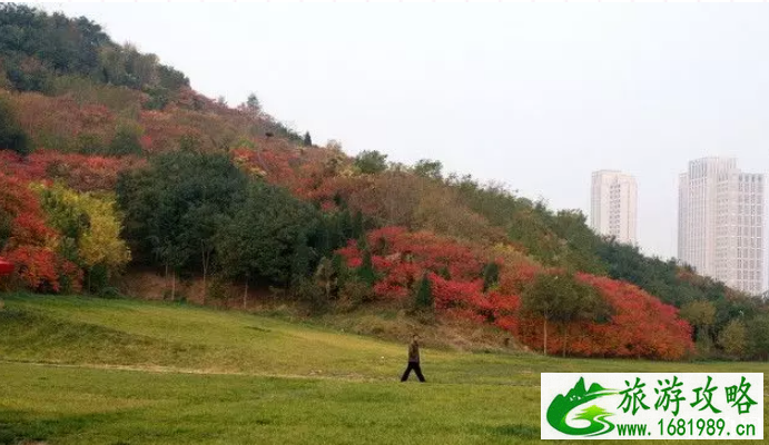 天津赏红叶哪里最好的地方 天津周边赏红叶的地方有哪些 天津赏红叶哪里最好的地方 天津周边赏红叶的地方有哪些