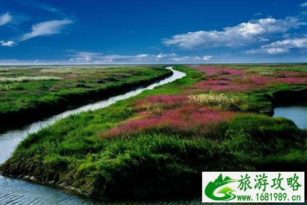 2022鄱阳湖国际观鸟周活动时间+观看地点+最佳时间+注意事项
